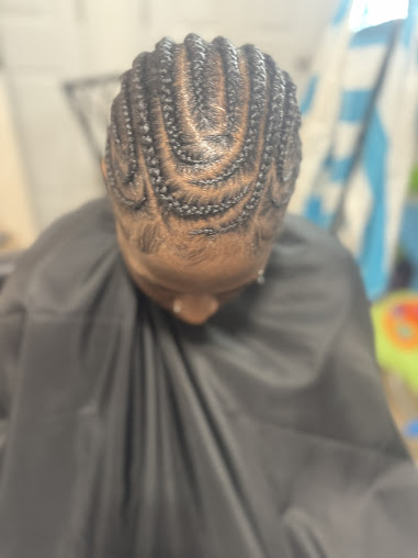 Stunning Braid Design